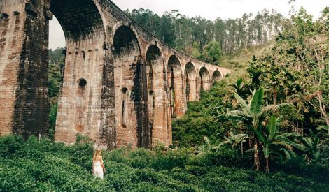 tour guide course in sri lanka