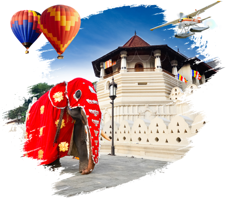 tour guide course in sri lanka